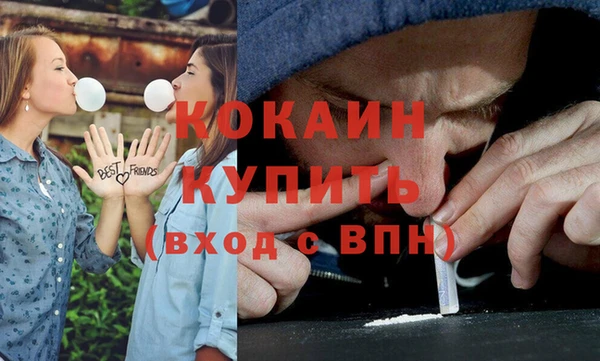 прущая мука Бородино