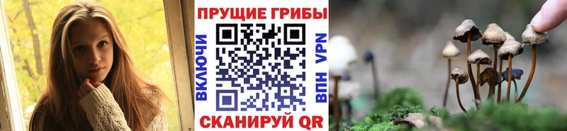 Псилоцибиновые грибы MAGIC MUSHROOMS где можно купить Урюпинск