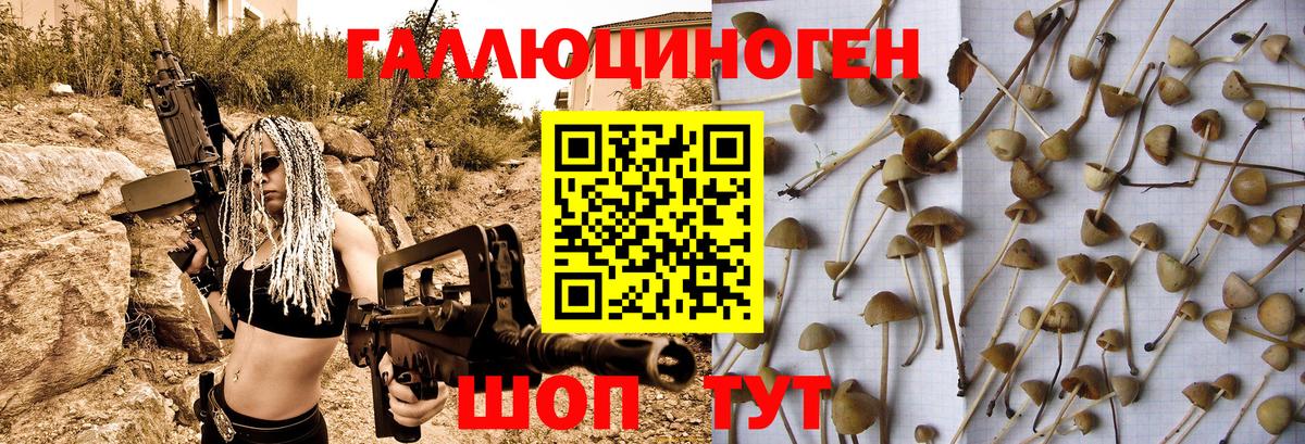 Галлюциногенные грибы ЛСД Урюпинск