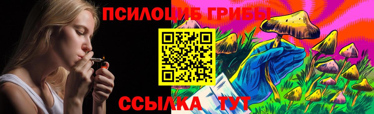 купить закладку  Урюпинск  Псилоцибиновые грибы Psilocybe 