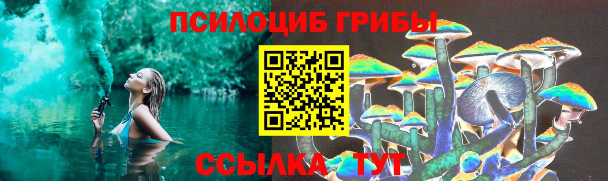 Галлюциногенные грибы Cubensis Урюпинск