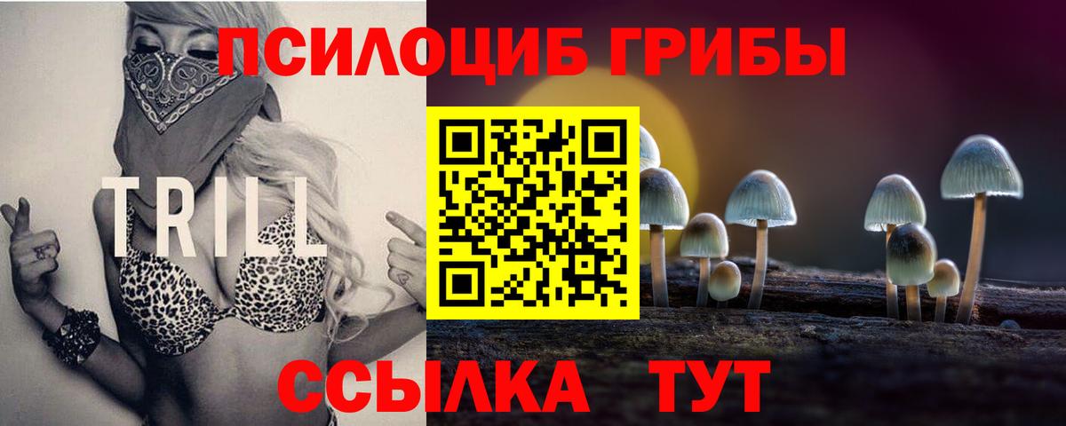 Галлюциногенные грибы Psilocybine cubensis  сколько стоит  Урюпинск  Вход с VPN 